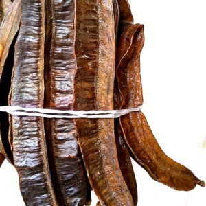 Aidan Fruit - Prekese